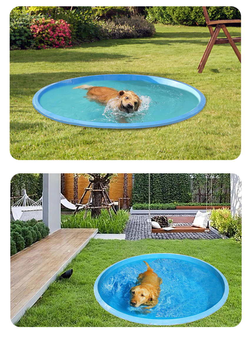 Swimming Pool Pet Details (1)