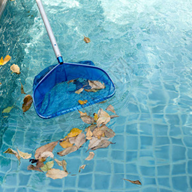 SKIMMER NET