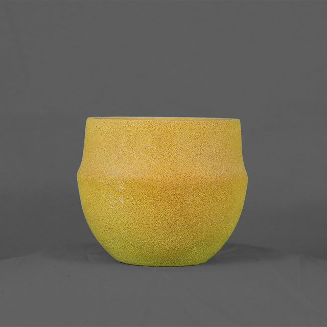 Fleshy flower pot