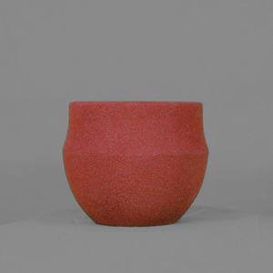 Fleshy flower pot
