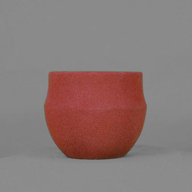 Fleshy flower pot