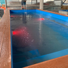 18.7ft×7.2ft×5.6ft Container Pool with Curved Waterfall