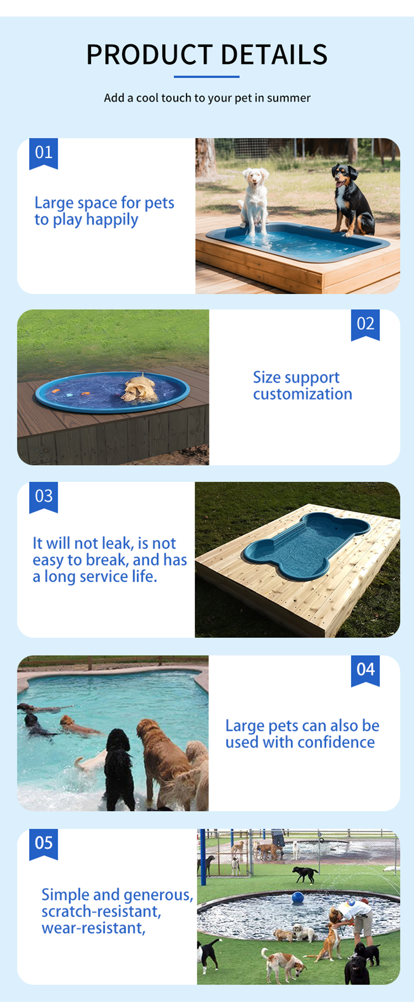 Swimming Pool Pet Details (3)