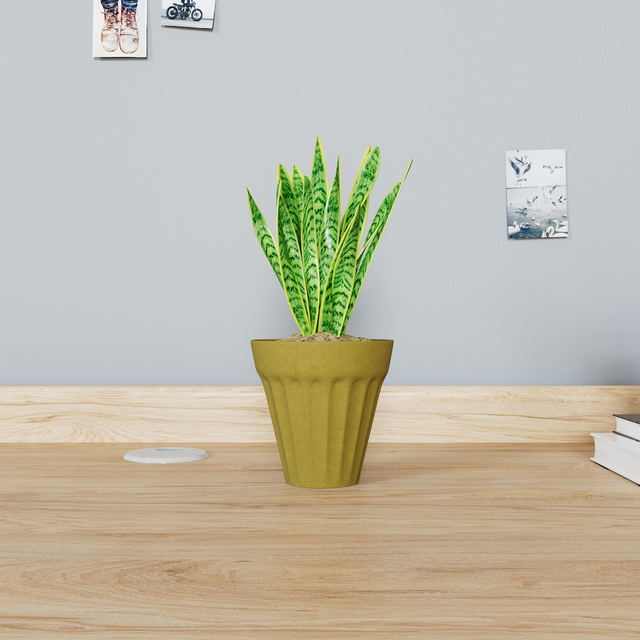 Classic sand flower pot