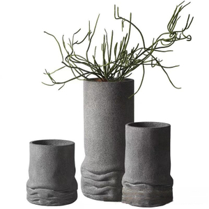Old Decoration Decoration Indoor Living Room Green Plant