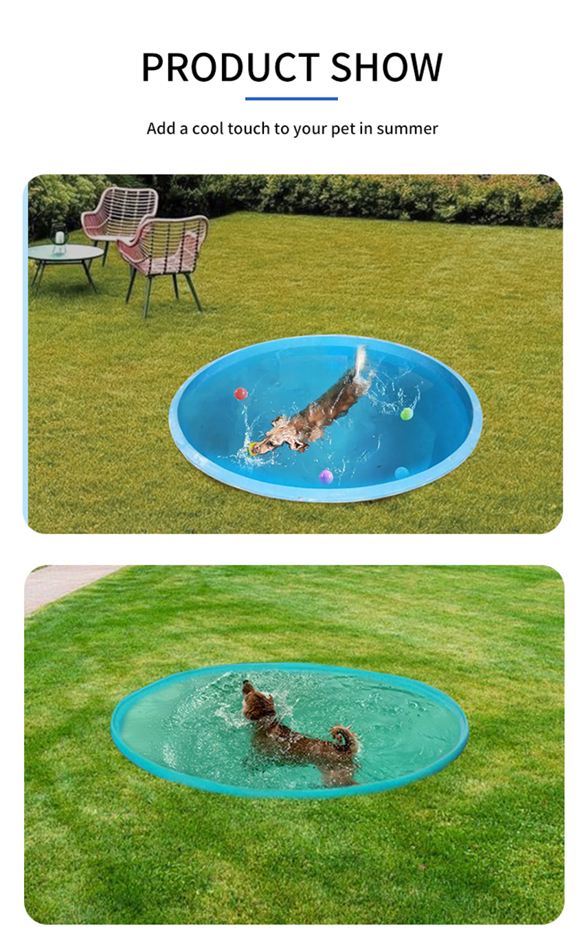 Swimming Pool Pet Details (4)